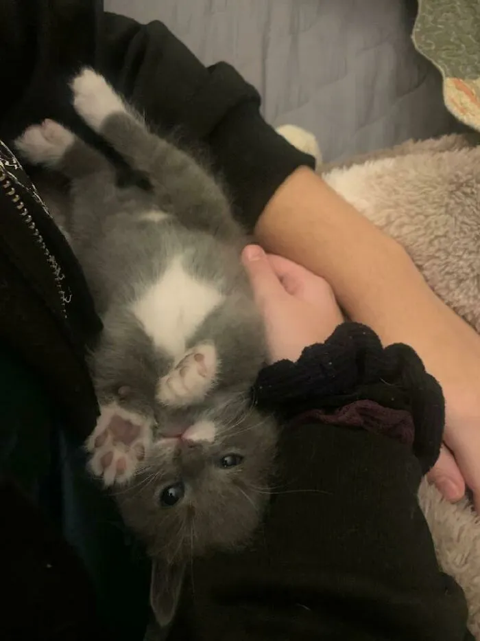 Foster Baby, Fanny