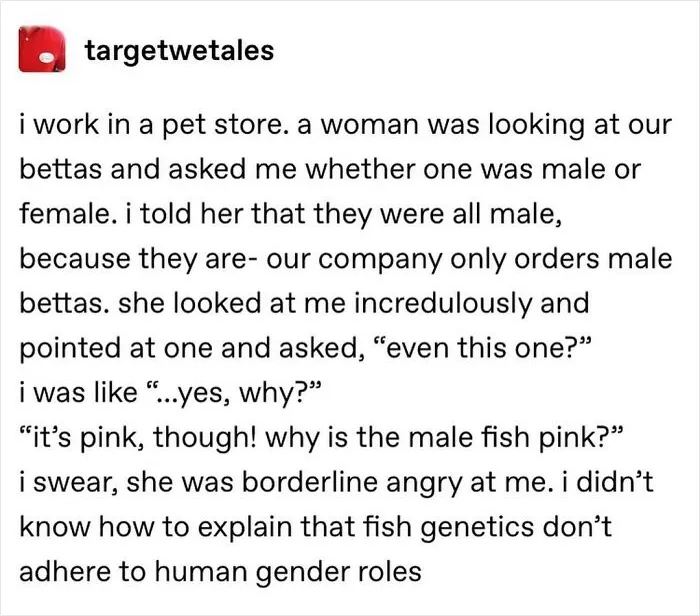 Because That Is Totally How It Works