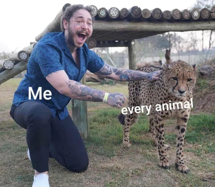 50 Wholesome Memes As Shared By This Page To Brighten Up Your Day