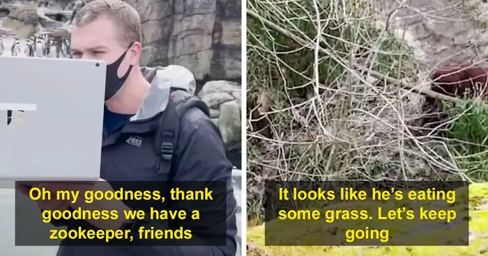 Kindergarten Teacher’s Virtual Field Trip To The Zoo Is Melting People’s Hearts
