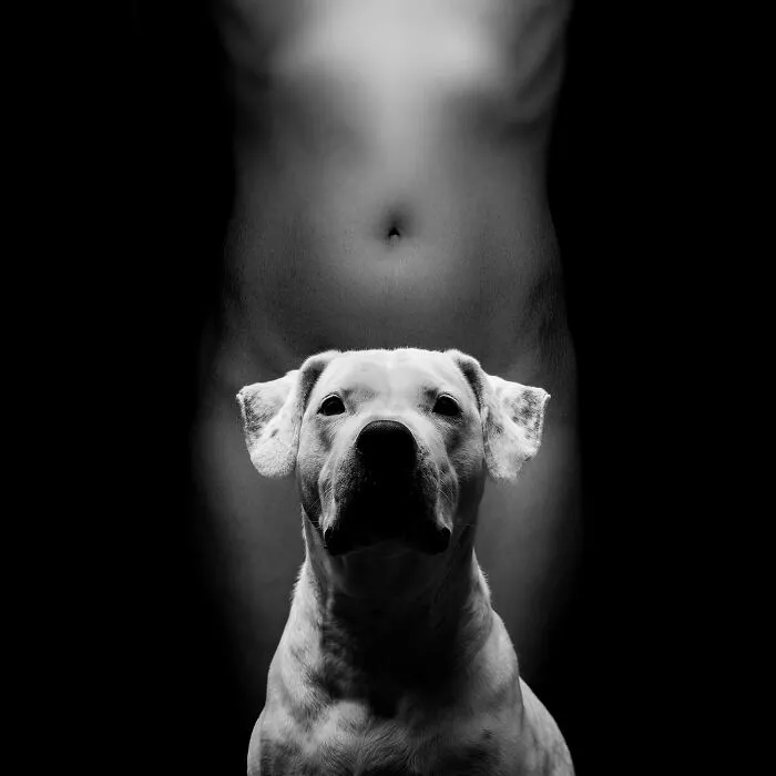 The Guardian