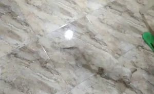 People Share Accidental Camouflage Examples And Here Are 50 Of The Best Photos (New Pics)