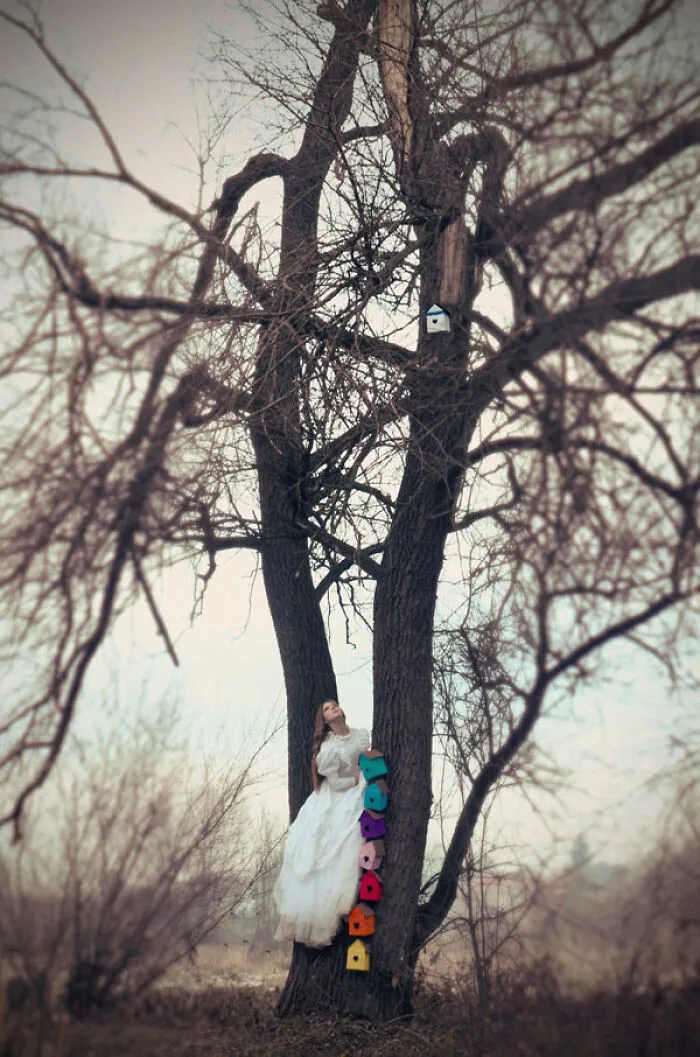 Birdhouses