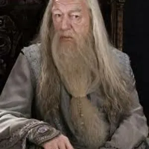 albus dumbledore🇺🇦🇺🇦🇺🇦