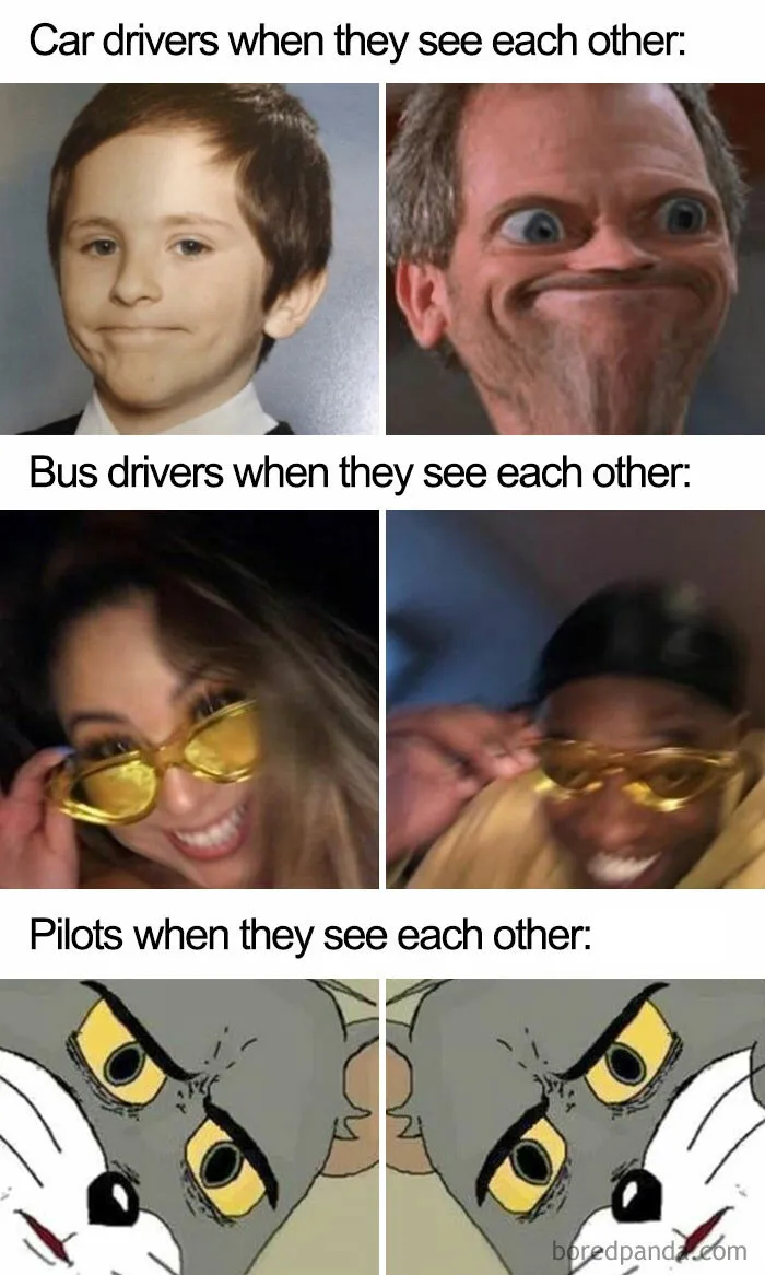 Wait What...