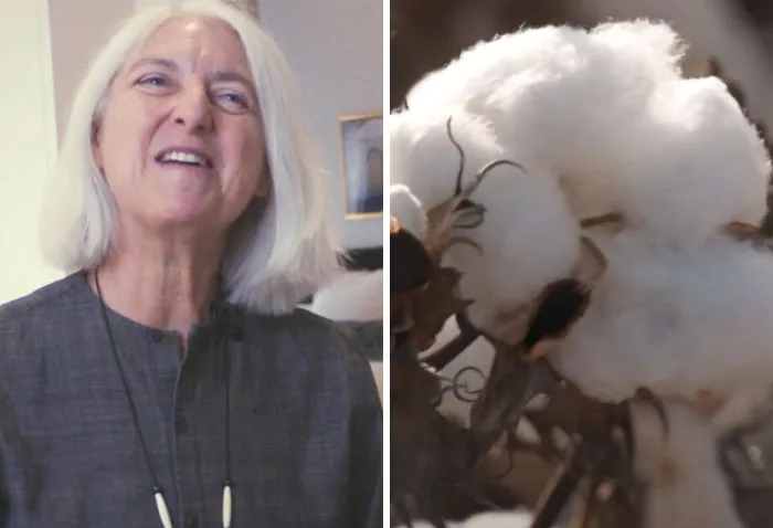 Sally Fox Invented Colored Cotton That Can Be Spun Into Thread On A Machine