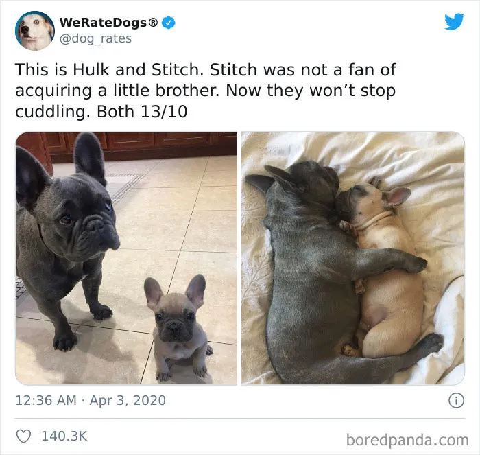 We-Rate-Dogs-Twitter