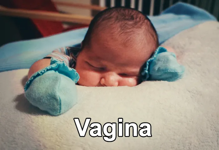 Nurses And Midwives Reveal 40 Baby Names That They Tried To Talk The Parents Out Of