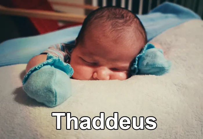 Worst-Baby-Names