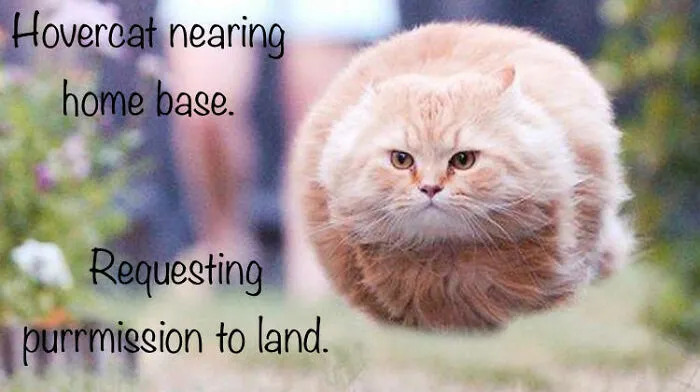 Hovercat :)
