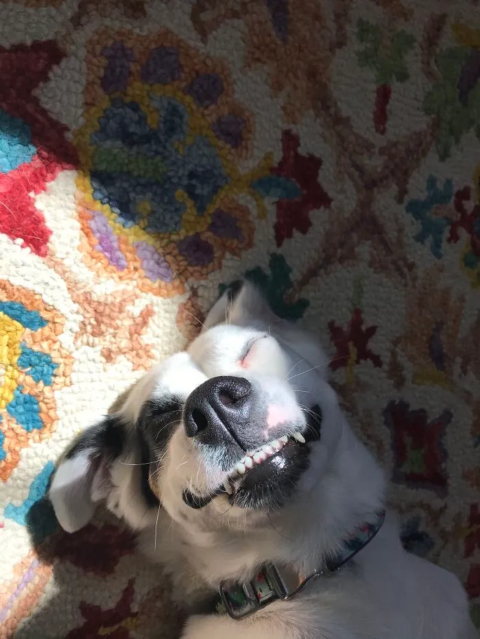 Smile!