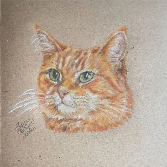 The Late, But Unforgettable Bob: @streetcatnamedbob
