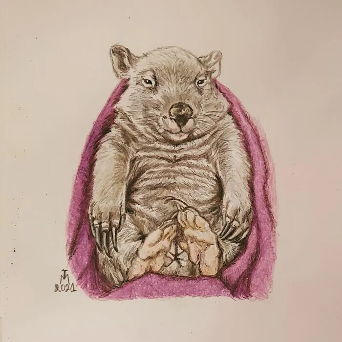 Elsie The Marsupial: @crazy_wombat_lady
