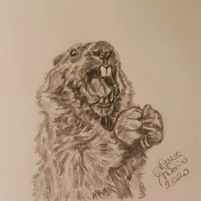 Announcer Of Spring: @chunk_the_groundhog