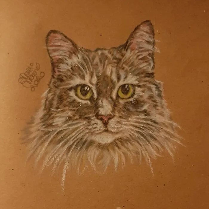 Jessica The Cat, Inspiration For Great Stand-Up Comedy: @zoltancomedy