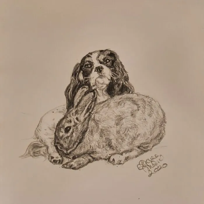 Lola And Her Bunny Pepper: @lolathecavie