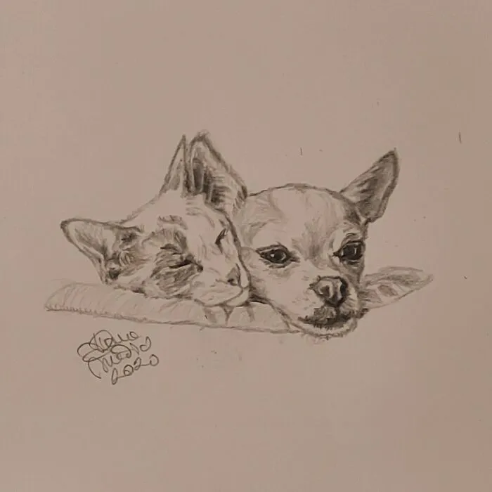 Bella And Buster: @bella_loves_buster