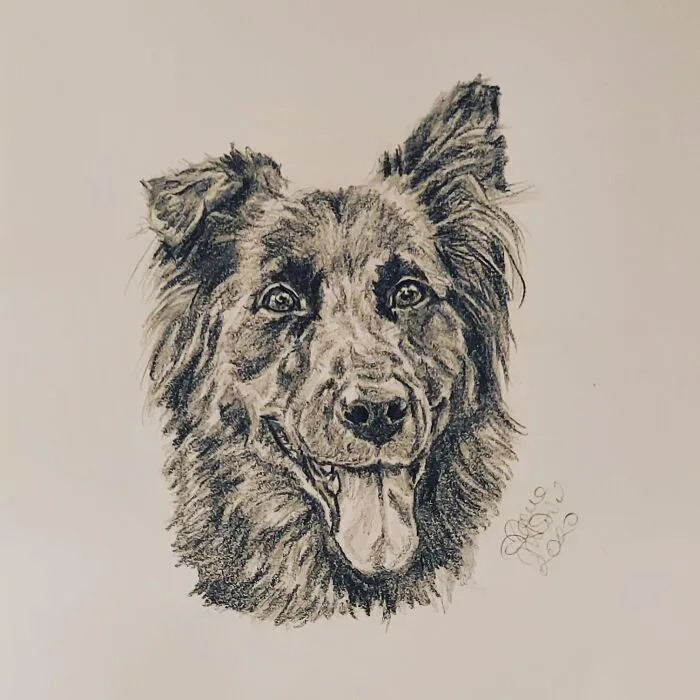 Charming Rescue In Singapore: @rosie_theposie