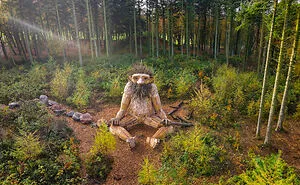I Hid 10 Giant Troll Sculptures That I Made From Recycled Wood During Quarantine In The Wilderness Of Denmark