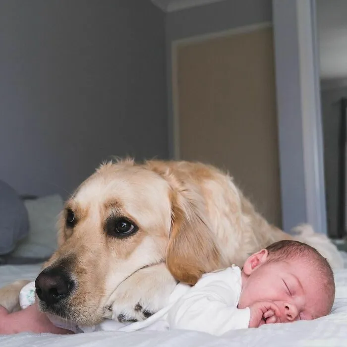 This Is My Human