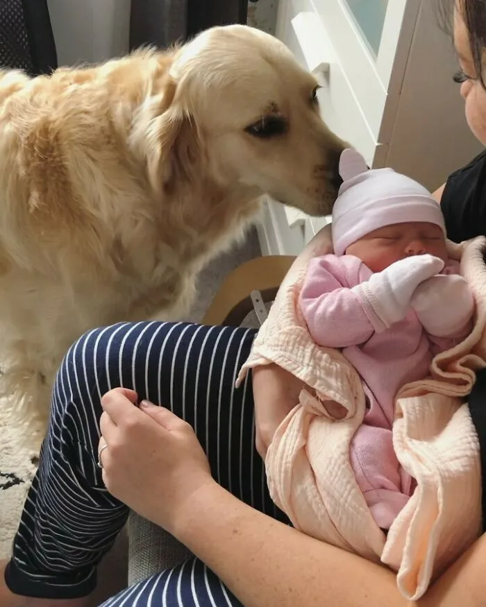 Mum Disappeared And When She Returned She Came Back With My Little Sister Macy, Had To Double Check That She Was Boopable. Answer? Absolutely