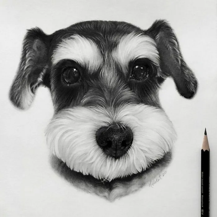 Artist Makes Realistic Pet Portraits Using Only A Pencil, Here Are The Best 49 Works
