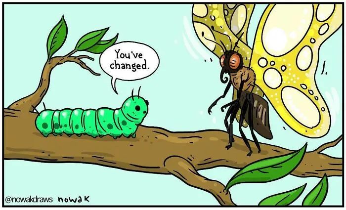 40 Absurd Comics By Joseph Nowak