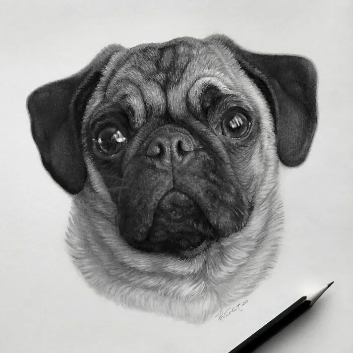 Artist Makes Realistic Pet Portraits Using Only A Pencil, Here Are The Best 49 Works