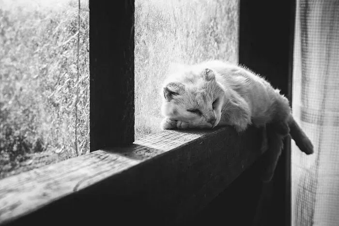 At The Shelter...