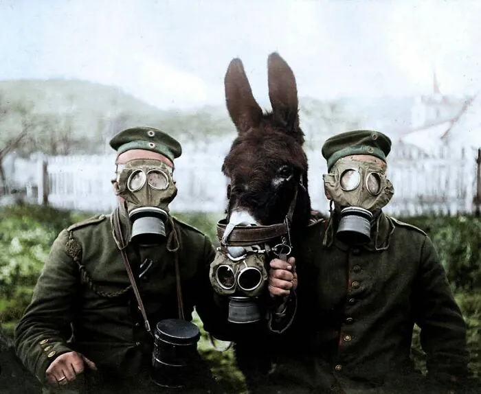 20 Fotos históricas y lo que hay tras ellas, coloreadas por Cassowary Colorizations