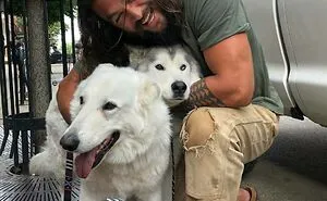 50 Celebrities Who Have Openly Displayed Their Immense Love For Dogs