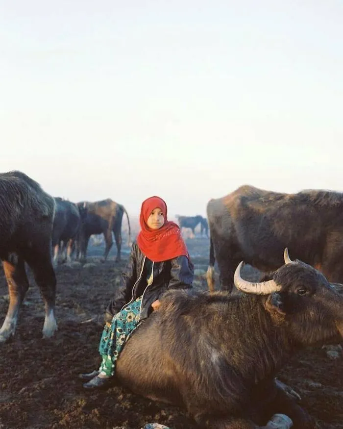 Raw Reality Of Life And People In The Middle Eastern Region Captured By This Iraqi Photographer (61 Pics)