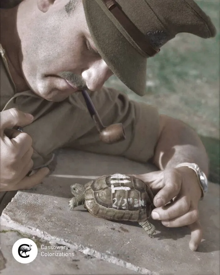 30 Historic Photos And The Stories Behind Them, Colorized By Cassowary Colorizations