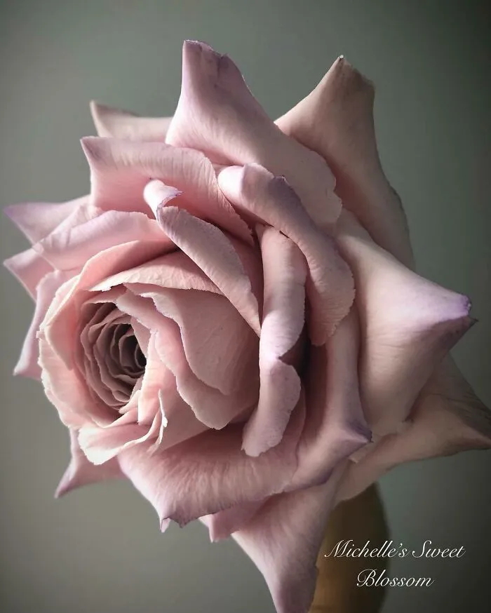 Award-Winning Australian Confectioner Creates Stunning Sugar Flowers (76 Pics)
