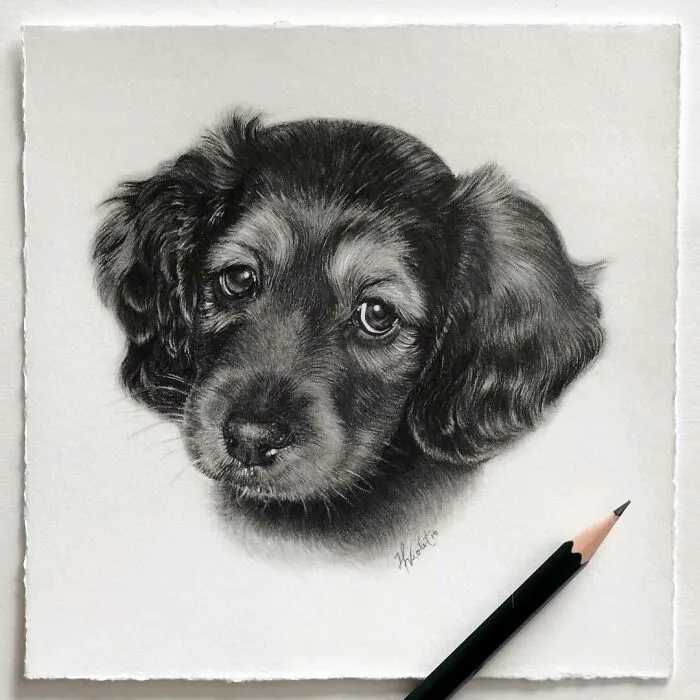 Artist Makes Realistic Pet Portraits Using Only A Pencil, Here Are The Best 49 Works