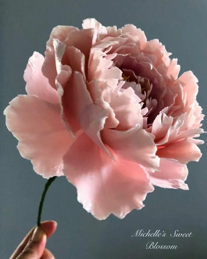 Award-Winning Australian Confectioner Creates Stunning Sugar Flowers (76 Pics)