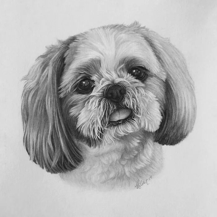 Artist Makes Realistic Pet Portraits Using Only A Pencil, Here Are The Best 49 Works
