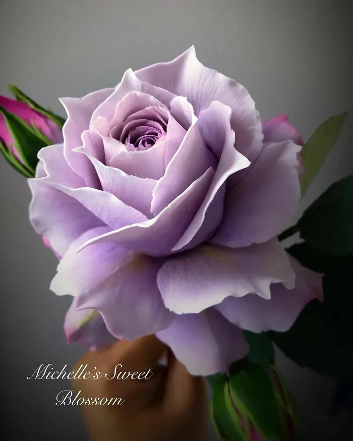 Award-Winning Australian Confectioner Creates Stunning Sugar Flowers (76 Pics)