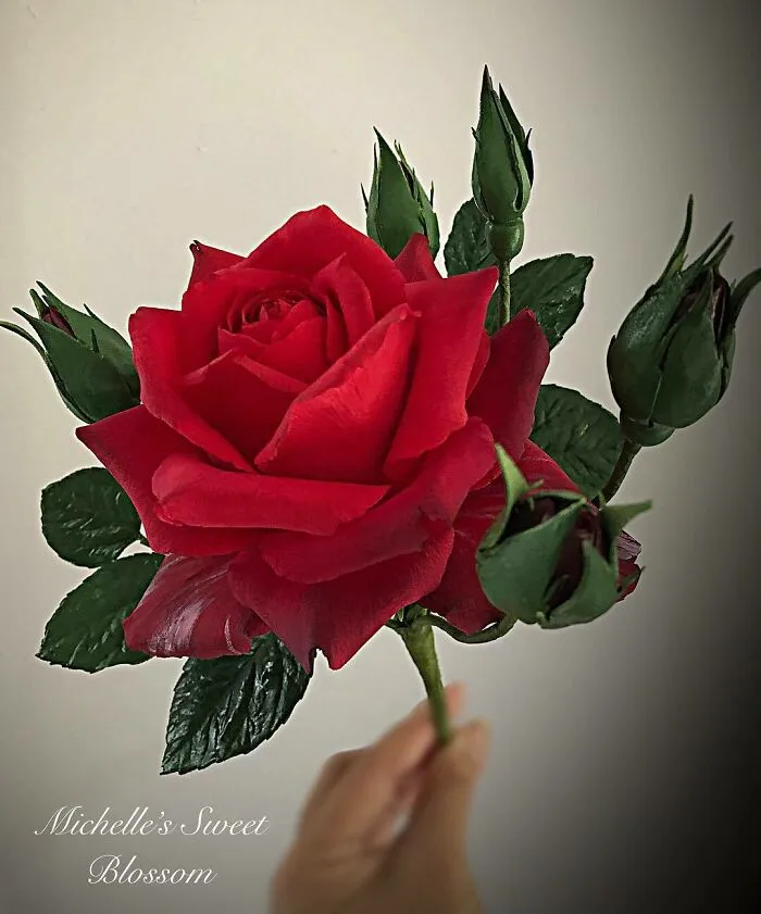 Award-Winning Australian Confectioner Creates Stunning Sugar Flowers (76 Pics)