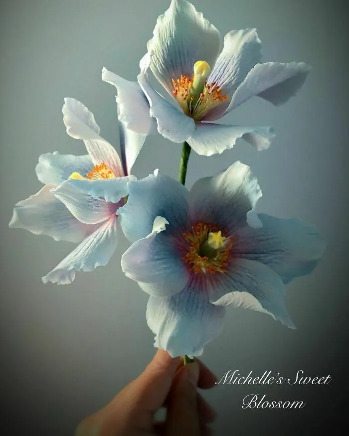 Award-Winning Australian Confectioner Creates Stunning Sugar Flowers (76 Pics)