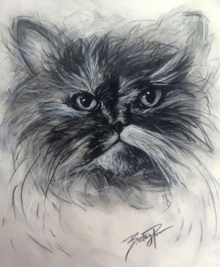 Miss Meow- Beautiful Little Kitty Soul
