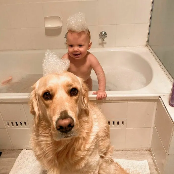 Oh God, She Is Trying To Take My Bubble Crown Isn’t She?!