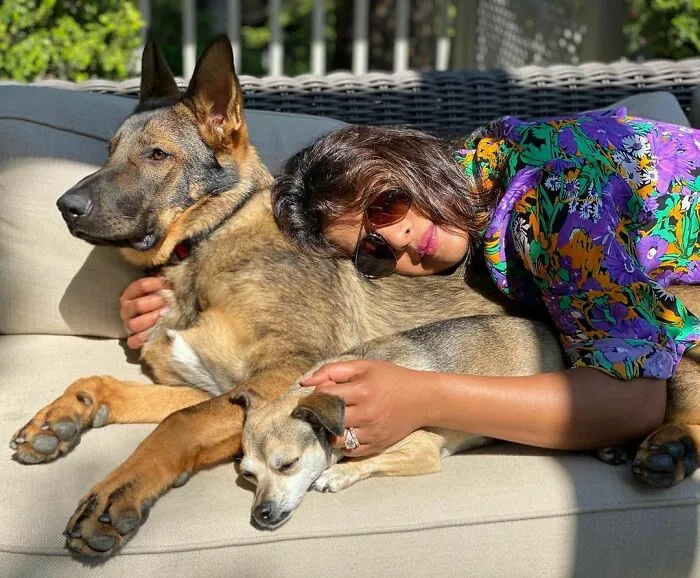 Woman in colorful outfit lying on two dogs on a couch, showcasing celebrities who openly display their immense love for dogs.