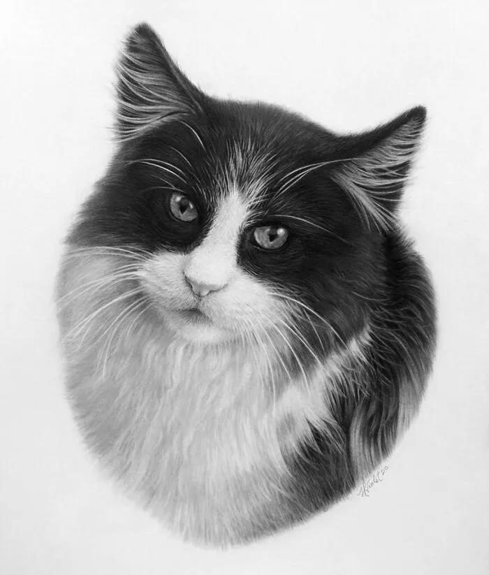 Artist Makes Realistic Pet Portraits Using Only A Pencil, Here Are The Best 49 Works