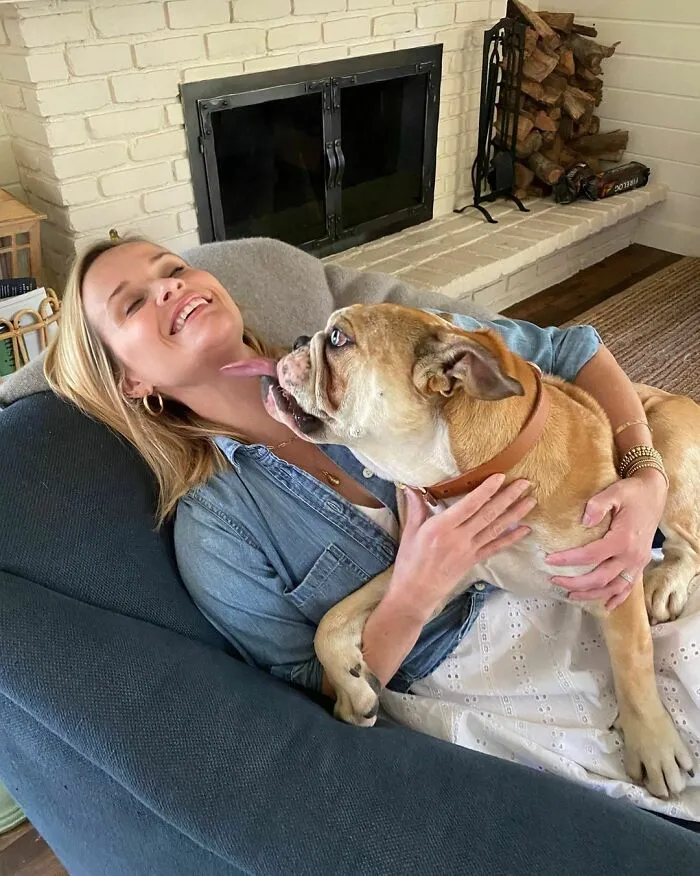 Celebrity smiling while sitting on a couch, affectionately holding and being licked by a large dog indoors.