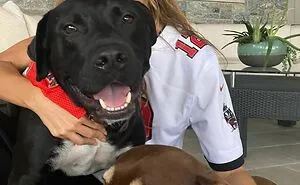 50 Celebrities Who Have Openly Displayed Their Immense Love For Dogs