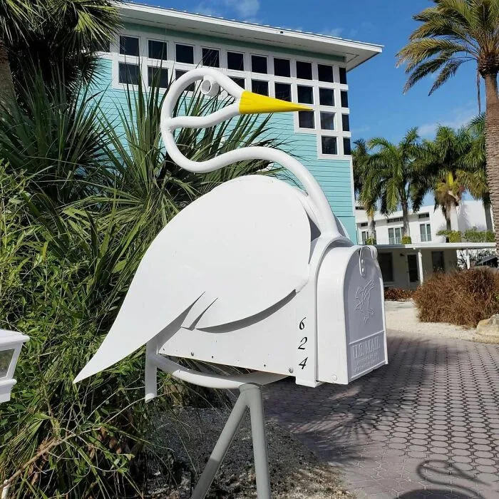 I Love How Floridians Are So Into Their Nature! I Love The Birds Here Too, They're So Big