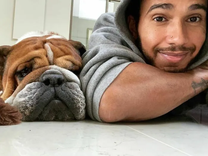Man and bulldog lying on the floor together showing immense love for dogs in a cozy indoor setting.