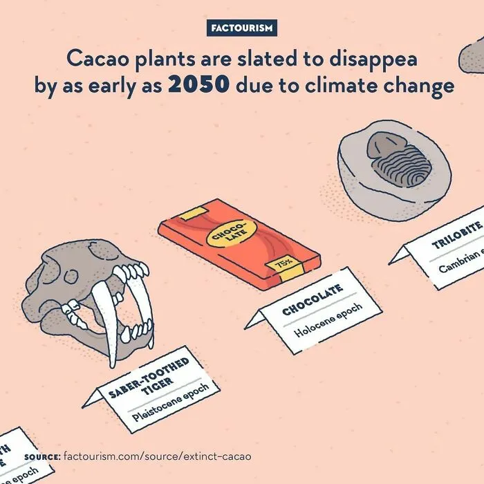 30 Random Facts About The World That Might Change Your Perspective On Certain Things, By Factourism (New Pics)