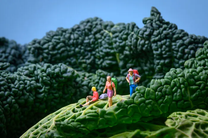 Kale Valley